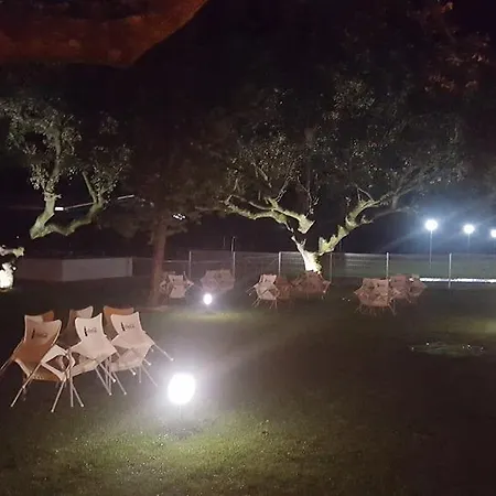 Camping Complejo The Dreams Cazalegas