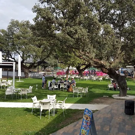 Complejo The Dreams Camping
